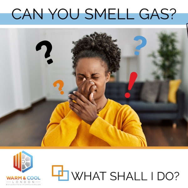 WCL - Can You Smell Gas - What shall i do