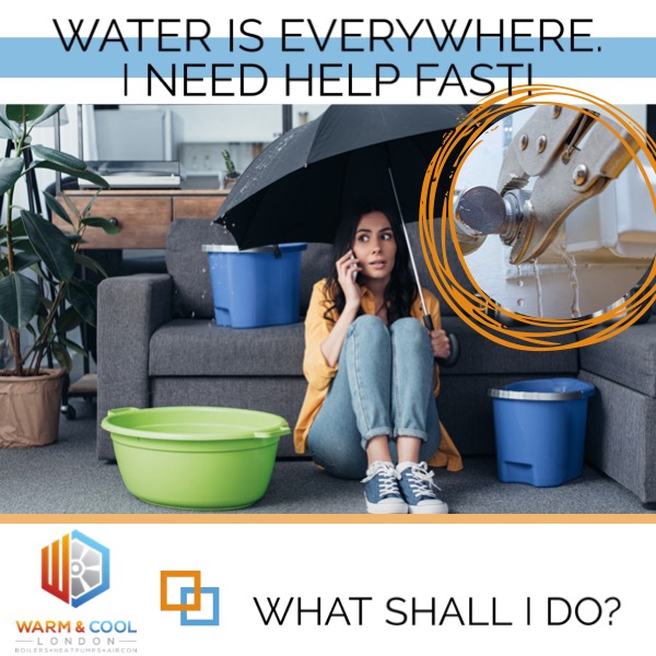 WCL - What Shall I do - water is everywhere