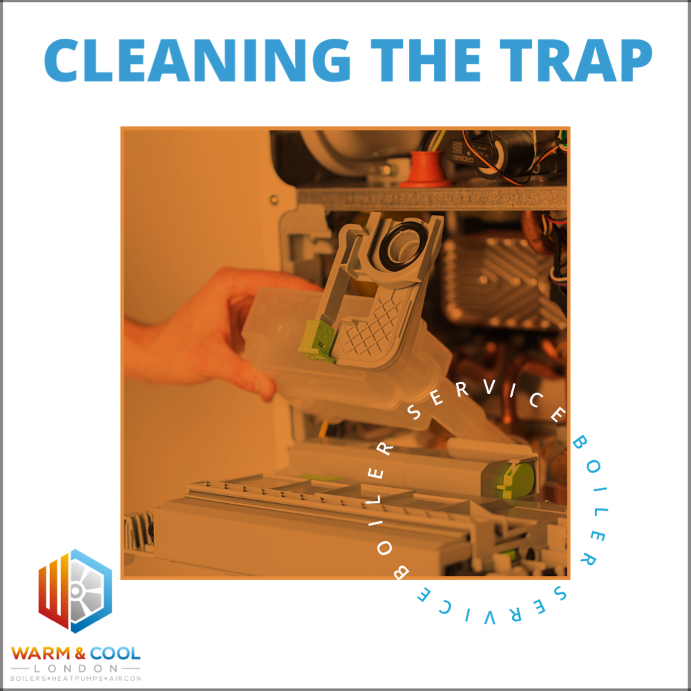 WCL - Cleaning the trap